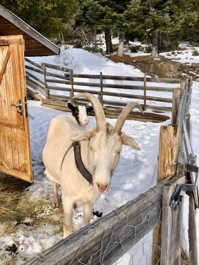 T2- 4Pers- Chamrousse Bachat Bouloud Leilighet Eksteriør bilde
